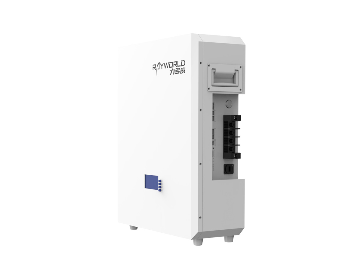 Wall-mounted LiFePO4 Battery 2.5kWh 25.6V 100Ah with RS485 and CAN (Rayworld RHW25100B)