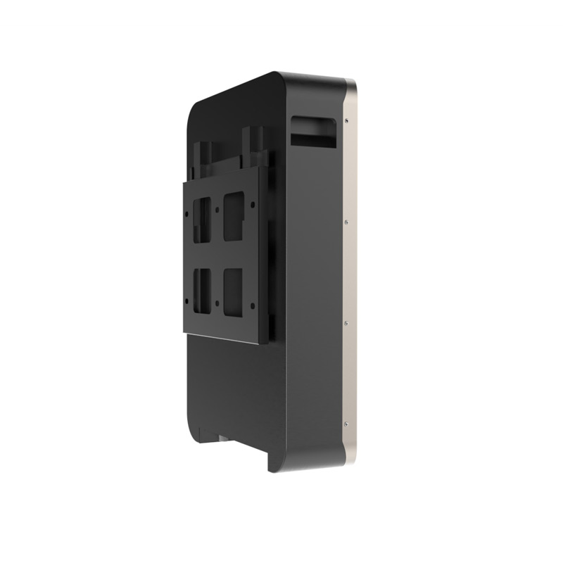 Wall mount LFP Battery 51.2V 100Ah 5kWh with APP (Rayworld RHW51100A)