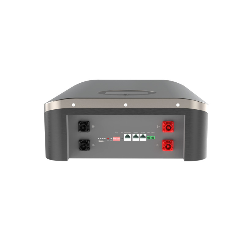 Rayworld RHW51100A 51.2V 100Ah 5kWh Terminals