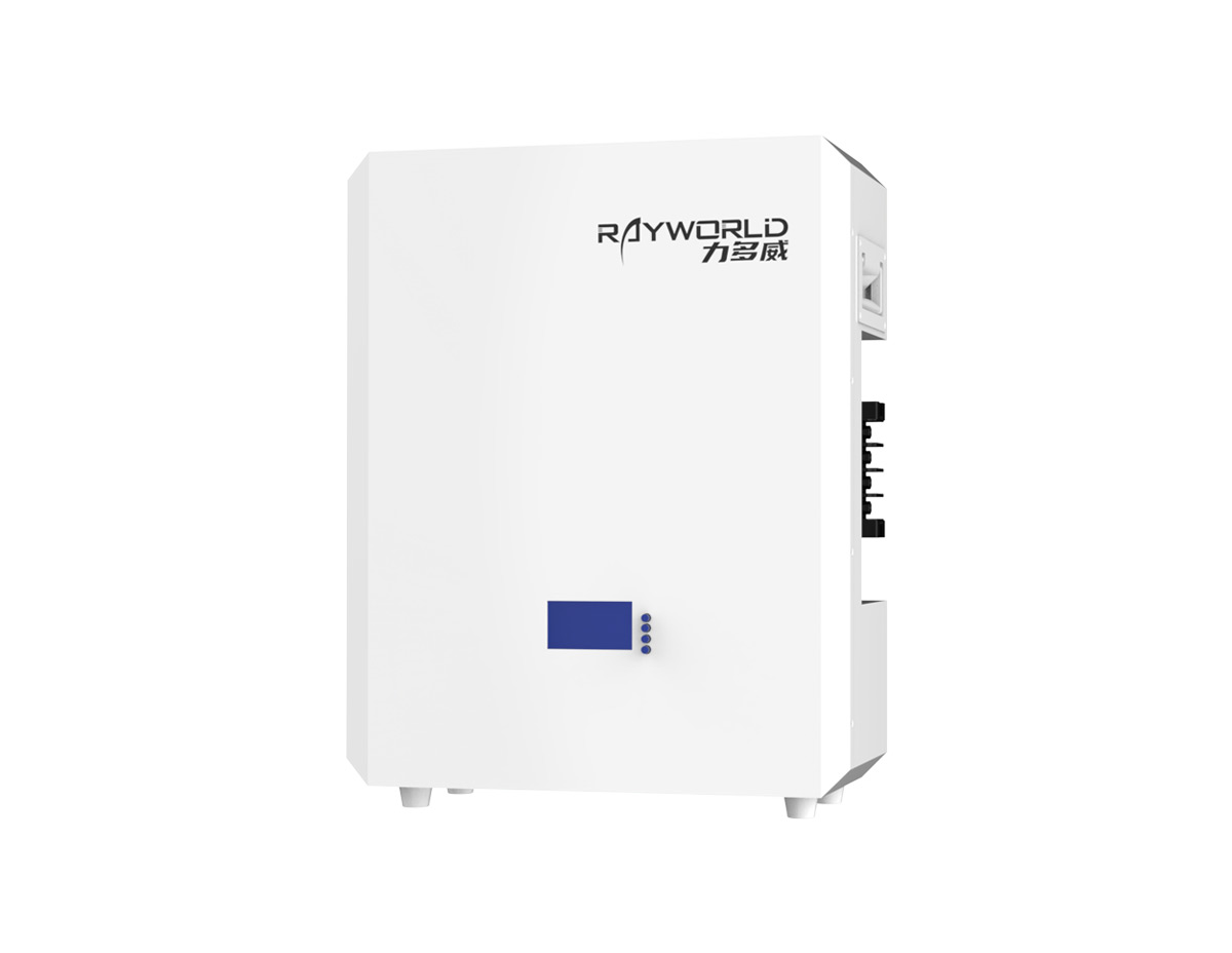 Wall-mounted LiFePO4 Battery 5kWh 51.2V 100Ah with RS485 and CAN-bus (Rayworld RHW51100B)